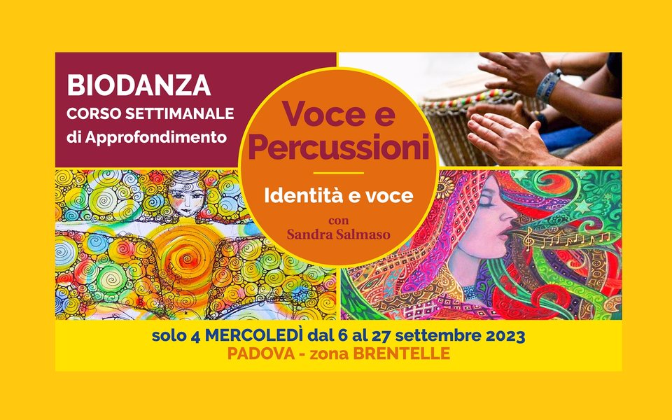 voce percuss 23 w
