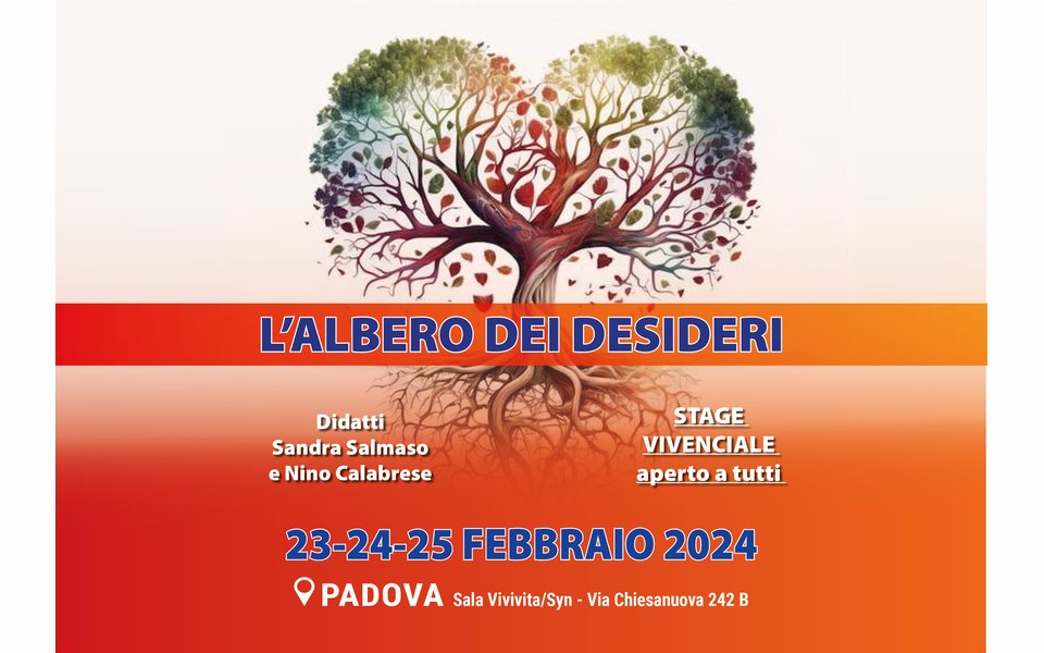 albero24 w