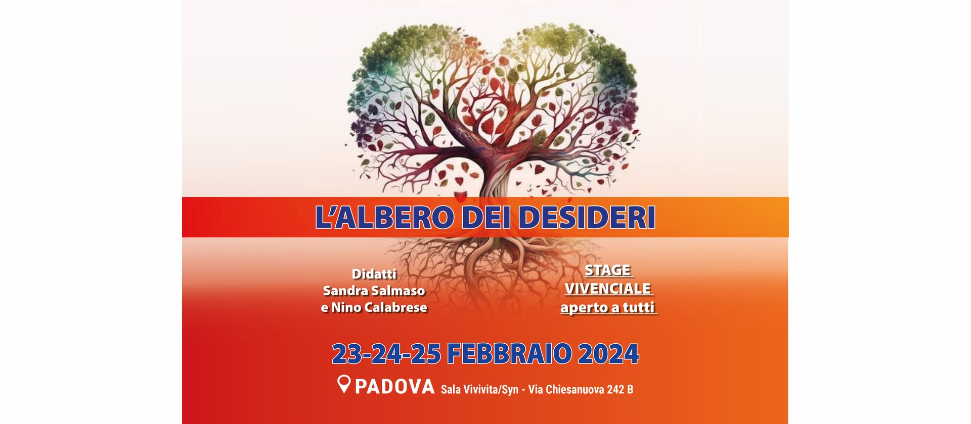 albero24 w