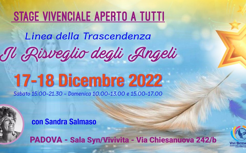 angeli2022 w