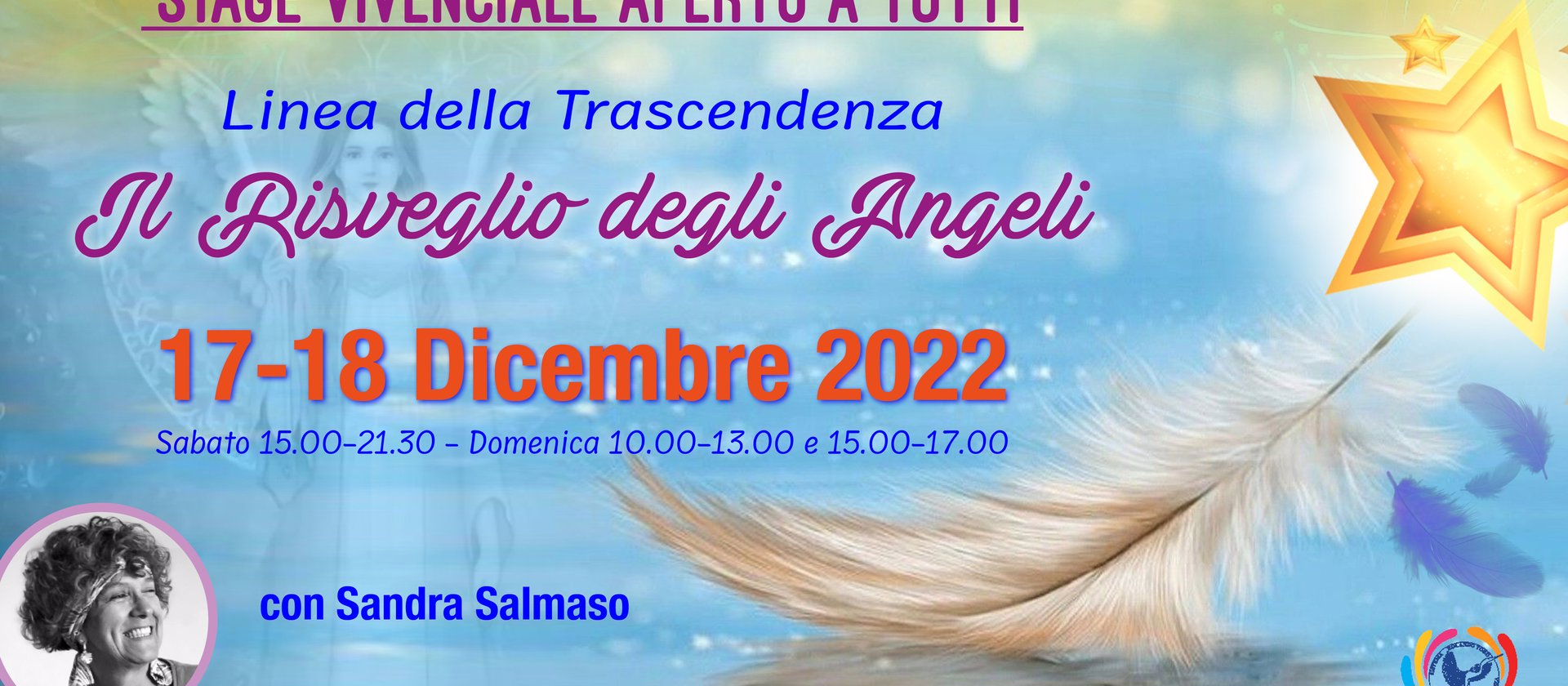 angeli2022 w