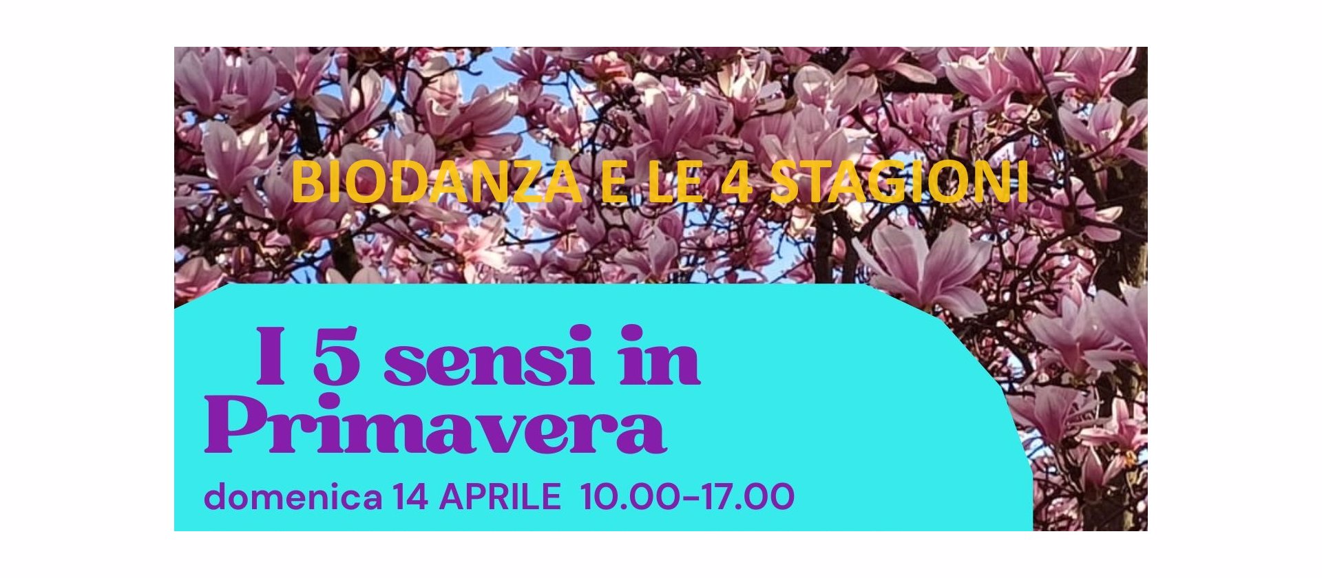 biod 5 semsi primavera w