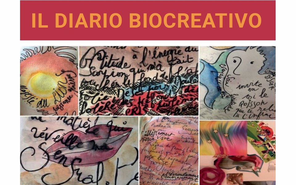 diariobiocreativo w