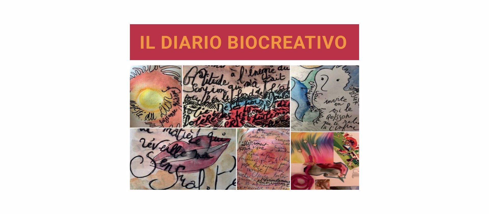 diariobiocreativo w