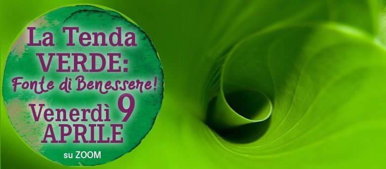 tenda verde w n5
