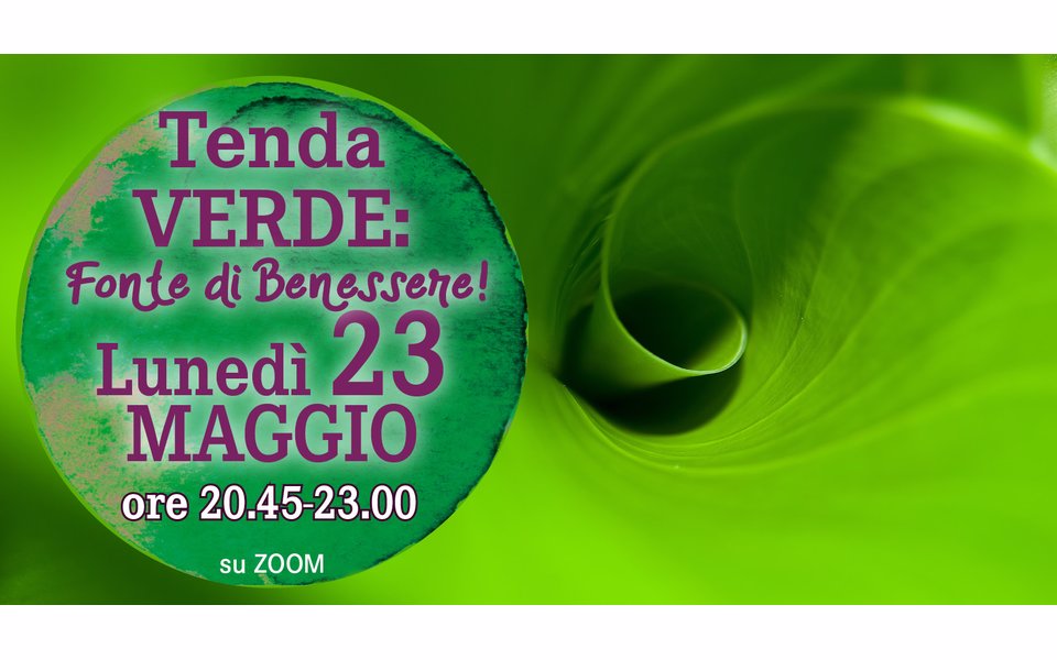 tenda verde w n6